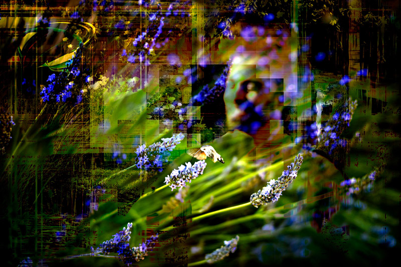 Tournesol